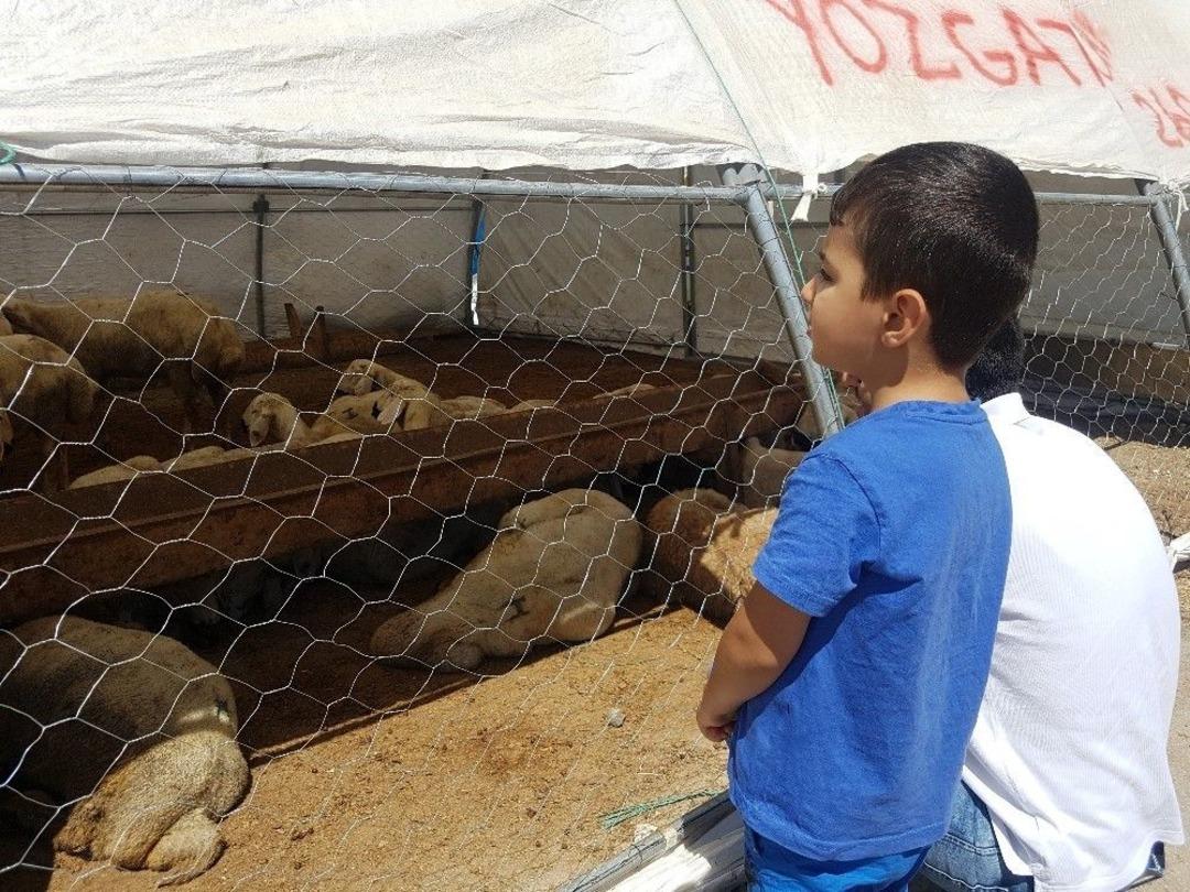 Besiciler En B&uuml;y&uuml;k &Ccedil;ift&ccedil;i &Ouml;rg&uuml;t&uuml; Tzob&rsquo;u Tanımıyor
