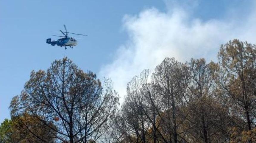 Antalya'da Orman Yangını