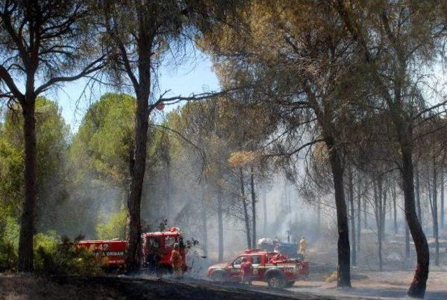 Antalya'da Orman Yangını