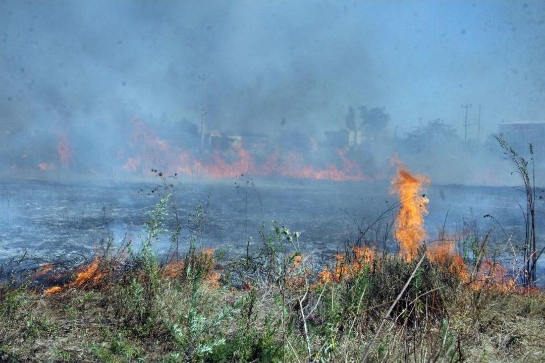 Antalya&rsquo;da Korkutan Yangın