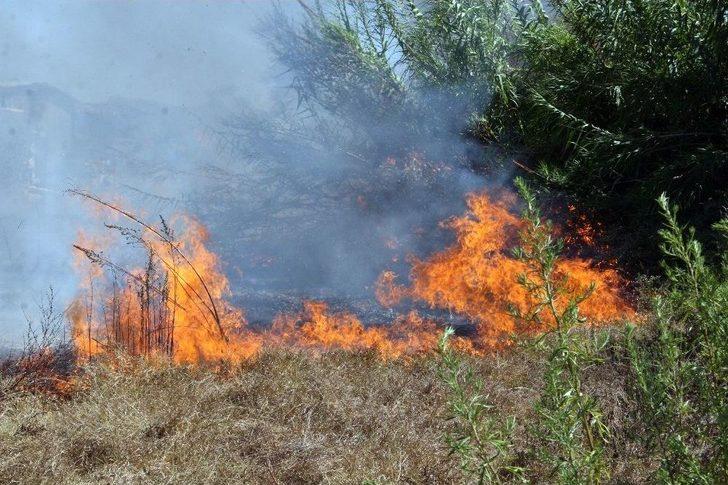 Antalya’da Korkutan Yangın G1