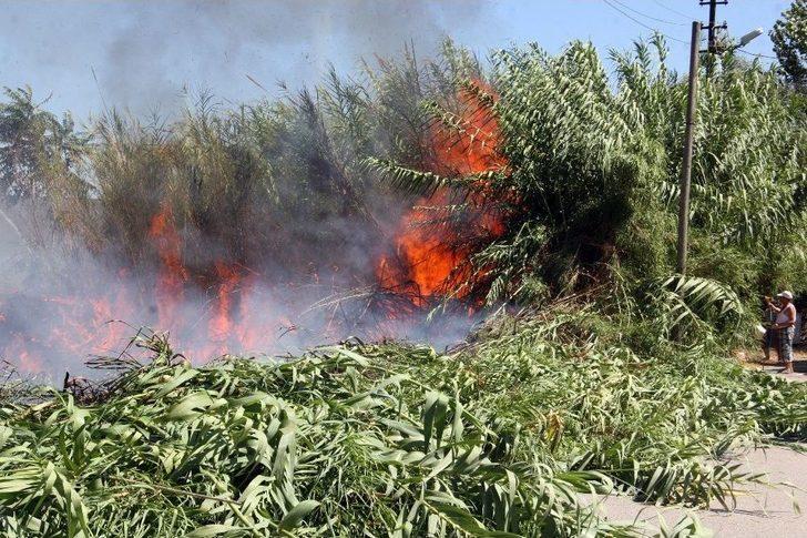 Antalya’da Korkutan Yangın G2