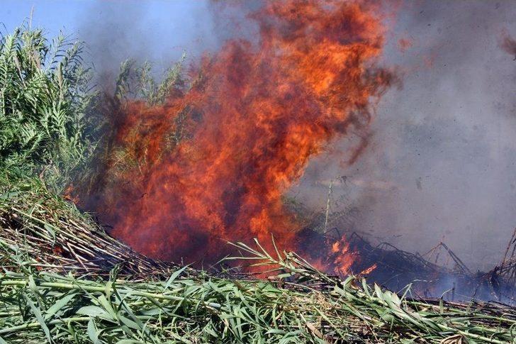 Antalya’da Korkutan Yangın G3