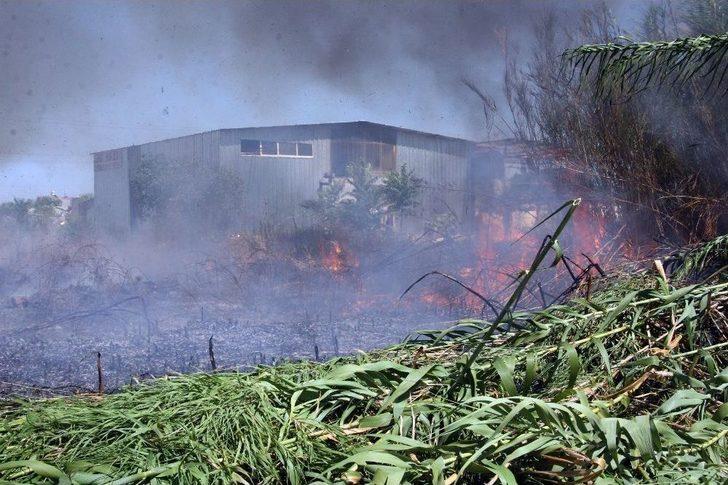 Antalya’da Korkutan Yangın G4