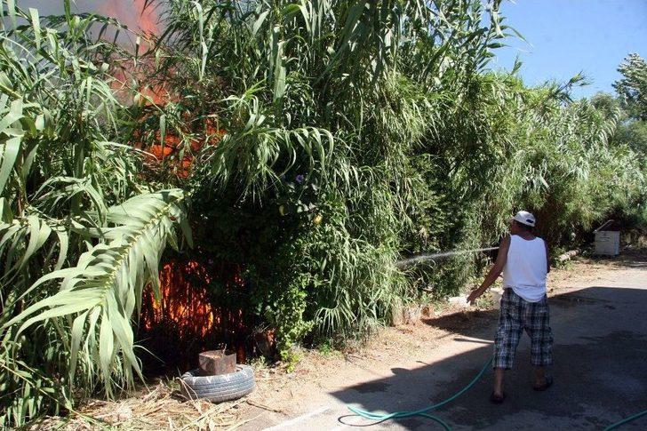 Antalya’da Korkutan Yangın G5