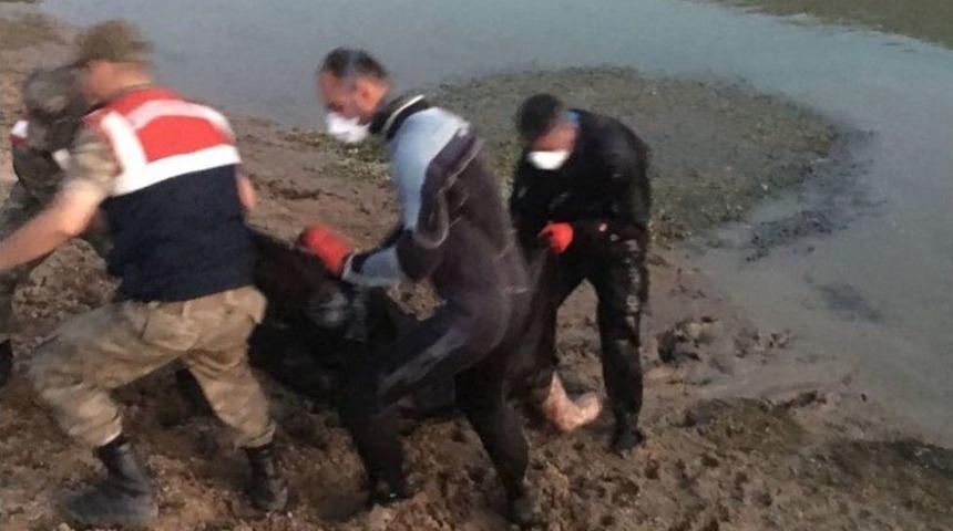 Su Y&uuml;zeyinde Kimliği Belirsiz Ceset Bulundu