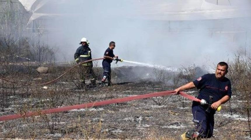 &Ccedil;alılık Yangını Işyeri Ve Seralara Zarar Verdi