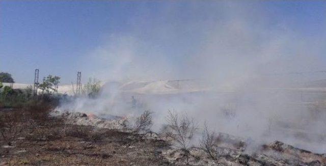 Çalılık Yangını Işyeri Ve Seralara Zarar Verdi