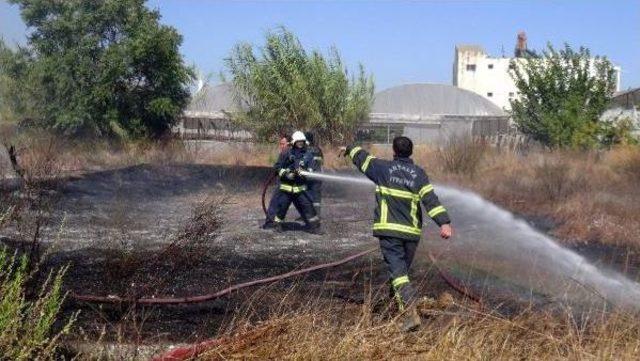 Çalılık Yangını Işyeri Ve Seralara Zarar Verdi