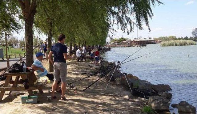 3 Kilo 660 Gramlık Sazan Tutup, Birinci Oldu