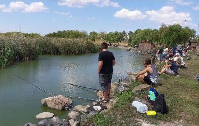 3 Kilo 660 Gramlık Sazan Tutup, Birinci Oldu