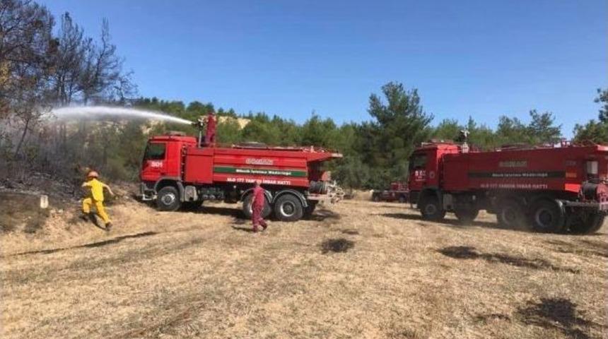 Bilecik’te Çıkan Yangında 1 Dönümlük Ormanlık Alan Zarar Gördü