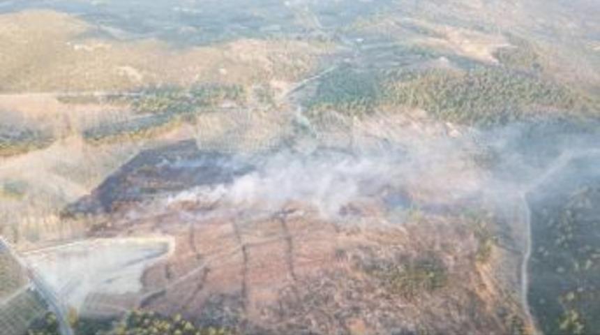 Torbalı'da Zeytinlik Alanda Yangın