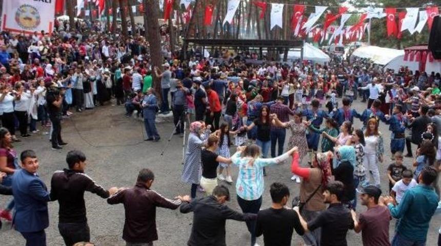 Ardahan'da Bal Festivali Coşkusu