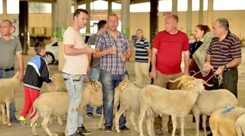 Tepebaşı Kurban Bayramı&rsquo;na Hazır