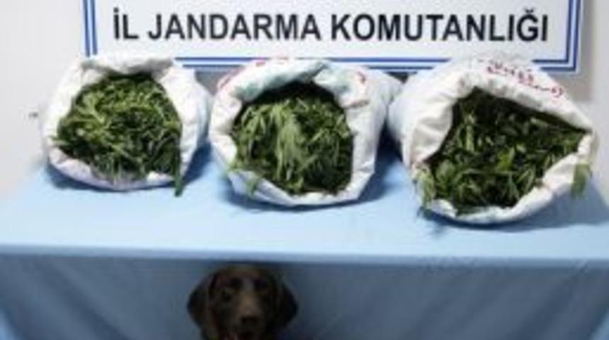 Adana’da Uyuşturucu İle Yakalanan 4 Kişi Tutuklandı