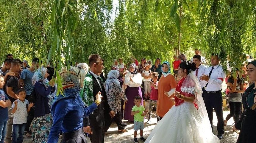 Sultan Sazlığı, Yeni Evlenen &Ccedil;iftlerin G&ouml;zdesi Oldu