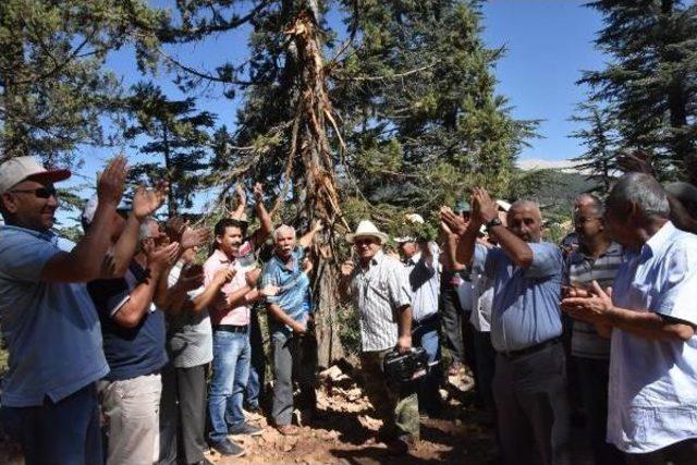 Kaş'ta 'boksit' Ocağı Protestosu