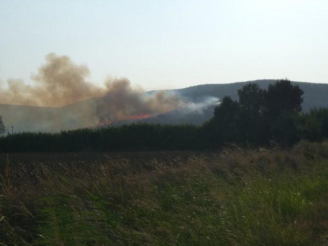 Torbalı'da yangın (2)