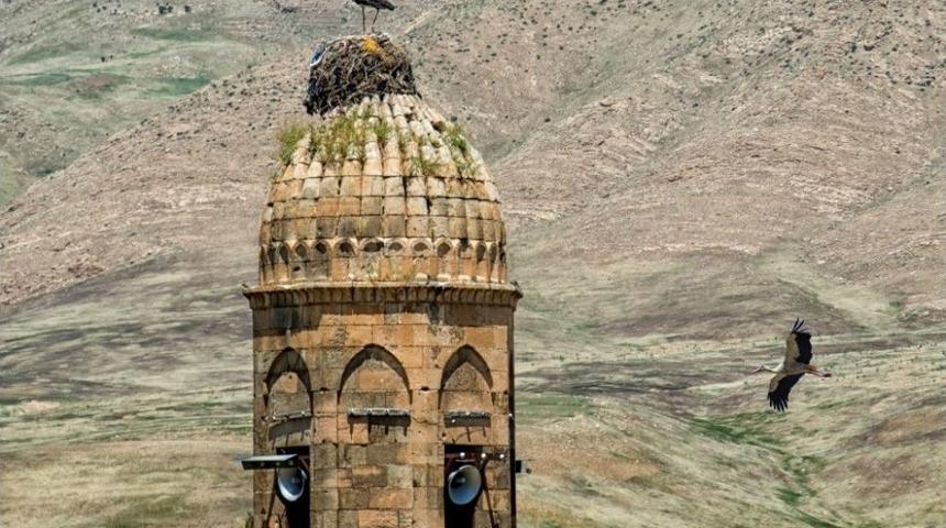 Batman &Ccedil;ayı&rsquo;nda Leyleklerin G&ouml;&ccedil; Molası