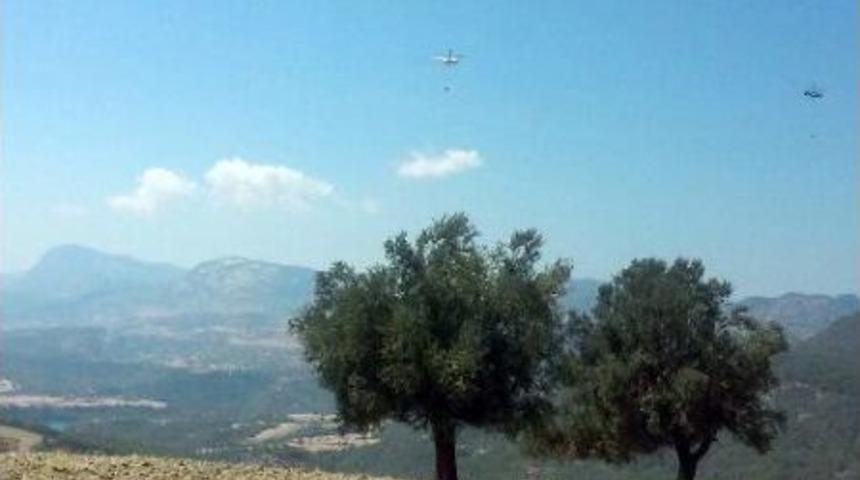 Adana&rsquo;da Orman Yangını