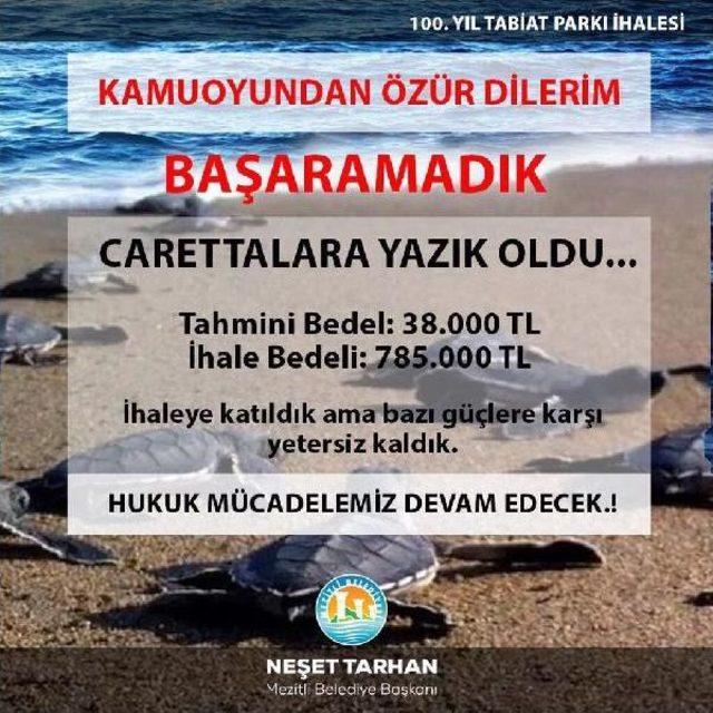 Belediye Başkanından 'carettaları Koruyamadık' Özrü'