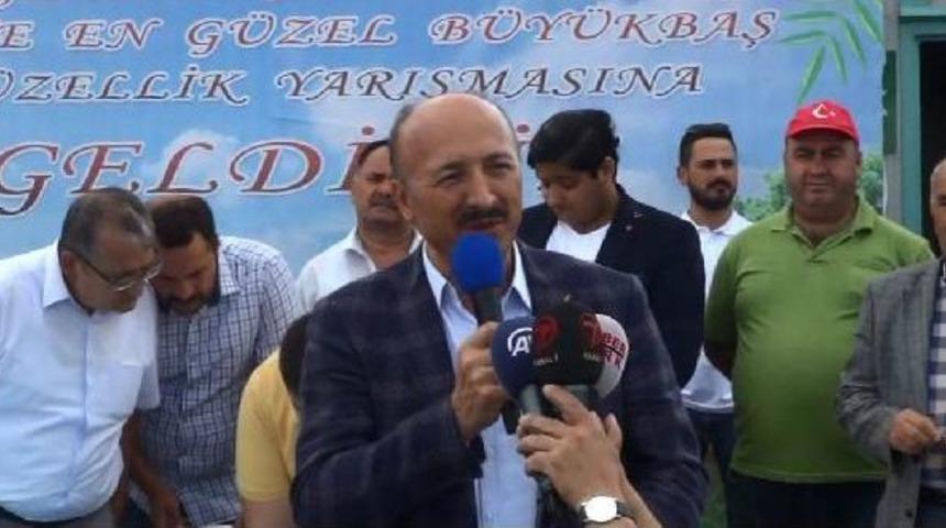 Sultangazi'de En G&uuml;zel Kurbanlık Yarışması D&uuml;zenlendi