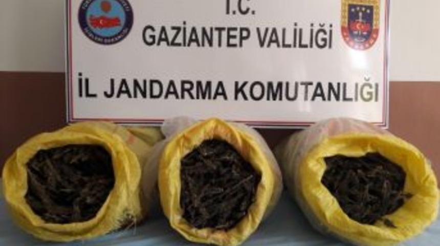 Gaziantep&rsquo;te Yol Uygulamasında 15 Kilo Esrar Ele Ge&ccedil;irildi