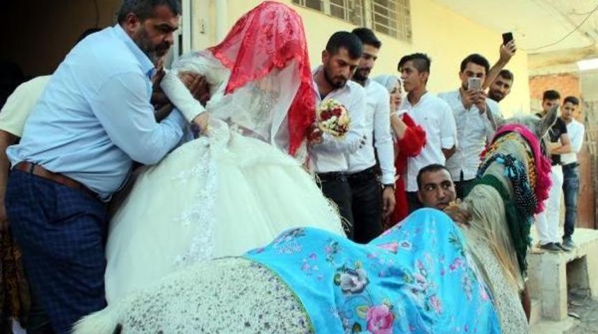 Silopi'de At &Uuml;st&uuml;nde Gelin G&ouml;t&uuml;rme Geleneği Yeniden Canlandı