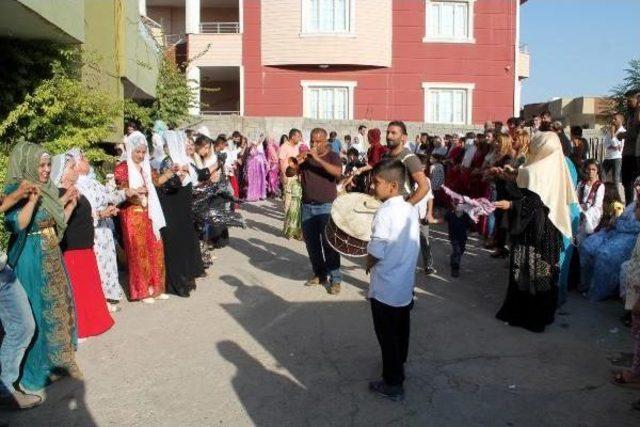 Silopi'de At Üstünde Gelin Götürme Geleneği Yeniden Canlandı