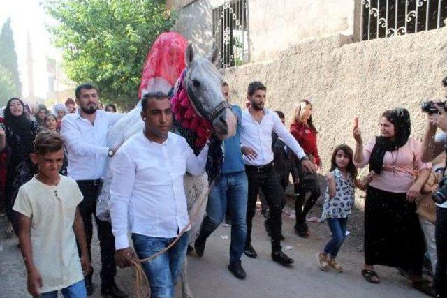 Silopi'de At Üstünde Gelin Götürme Geleneği Yeniden Canlandı