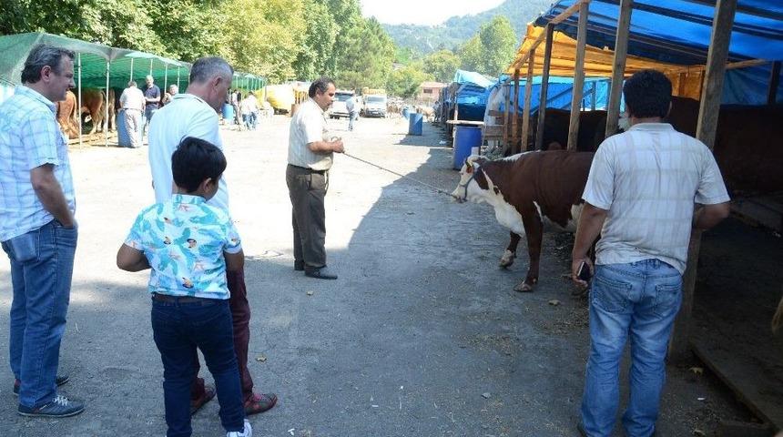 Kurbanlıklarda &ldquo;arife G&uuml;n&uuml;&rdquo; Umudu
