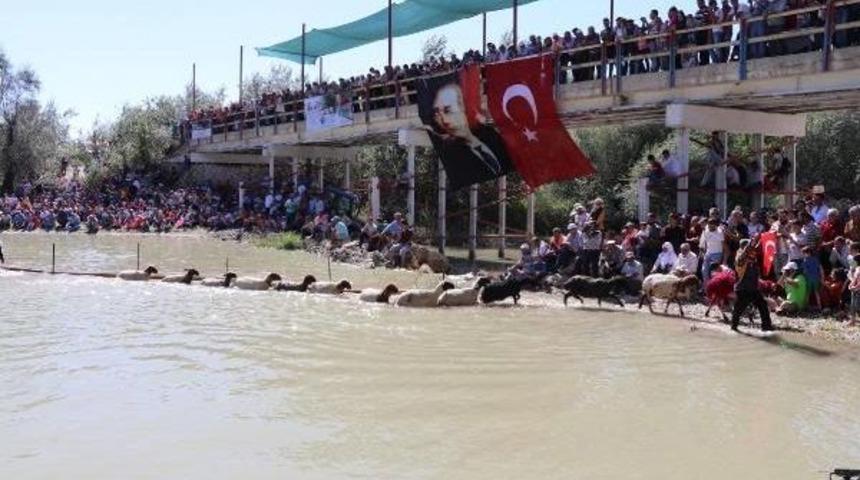 8 Asırlık Gelenekte Kınalı Ko&ccedil;lar Eren I&ccedil;in Atladı