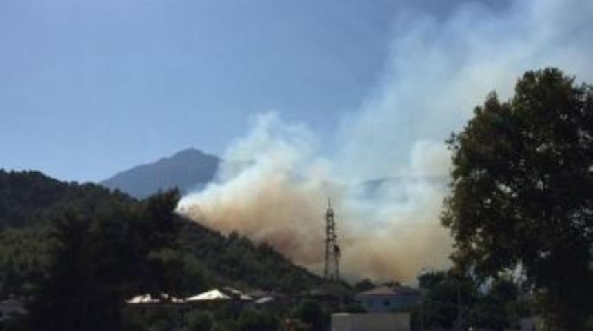 Antalya'da Orman Yangını (1)