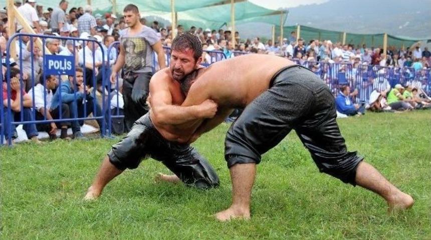 Tekkeköy, Yağlı Güreşlere Hazır