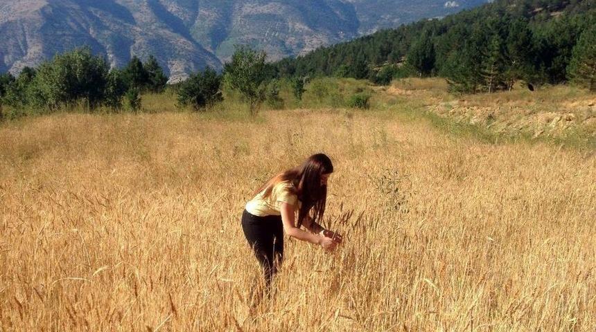 Bu K&ouml;yde Kuşlar A&ccedil; Kalmadı