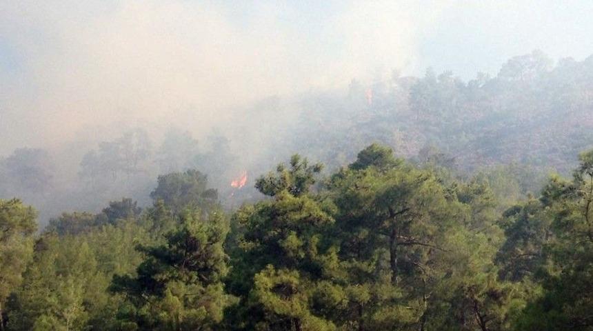 Antalya&rsquo;da Ormanı Yangını (1)