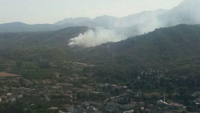 Antalya’da Ormanı Yangını (1)