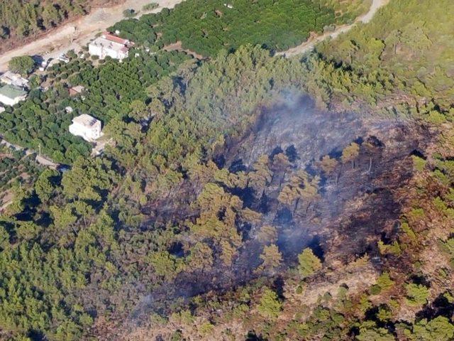 Antalya’da Ormanı Yangını (1)