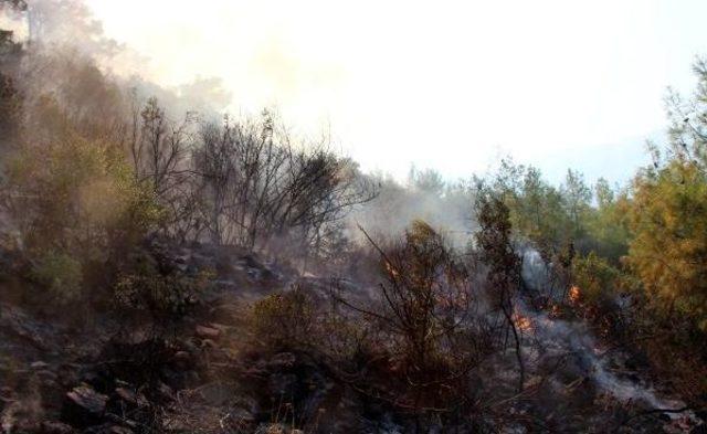 Antalya da Orman Yangını (2) - Yeniden 2