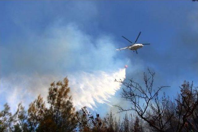 Antalya da Orman Yangını (2) - Yeniden 3
