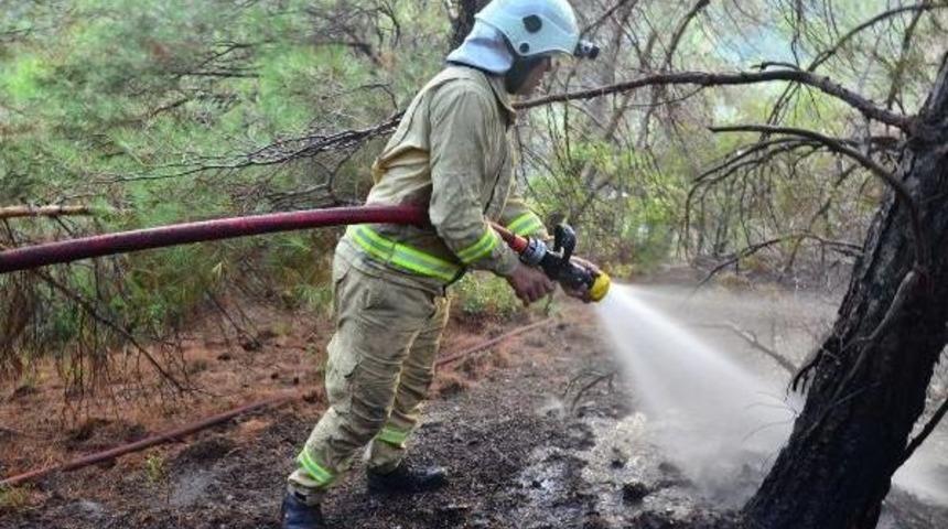 Spil Dağı'nda Orman Yangını