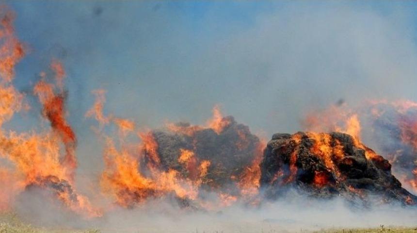 Horasan&rsquo;da 15 Bin Balya Ot Yanarak K&uuml;l Oldu