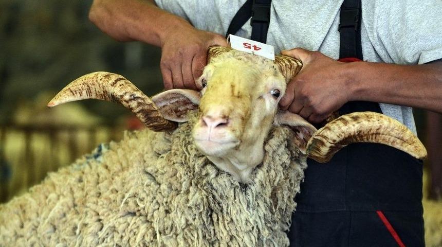 Bayramınız Kabusa D&ouml;n&uuml;şmesin