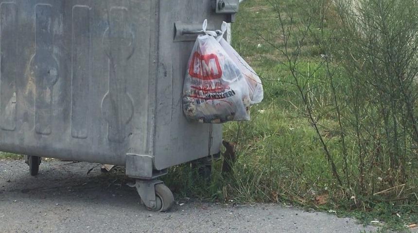 (&ouml;zel Haber) Farenin Yiyecek Azmi