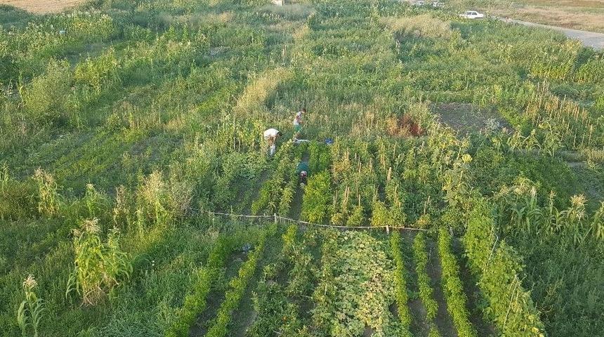 Kayseri Şeker&rsquo;den &Ccedil;alışanlarına Hobi Bah&ccedil;esi