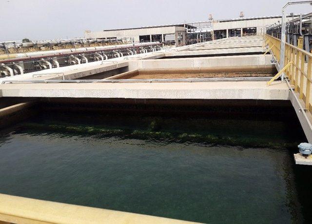 Yakın Doğu Enstitüsü İsrail’de Düzenlenen Ziyaretlere Katıldı 1