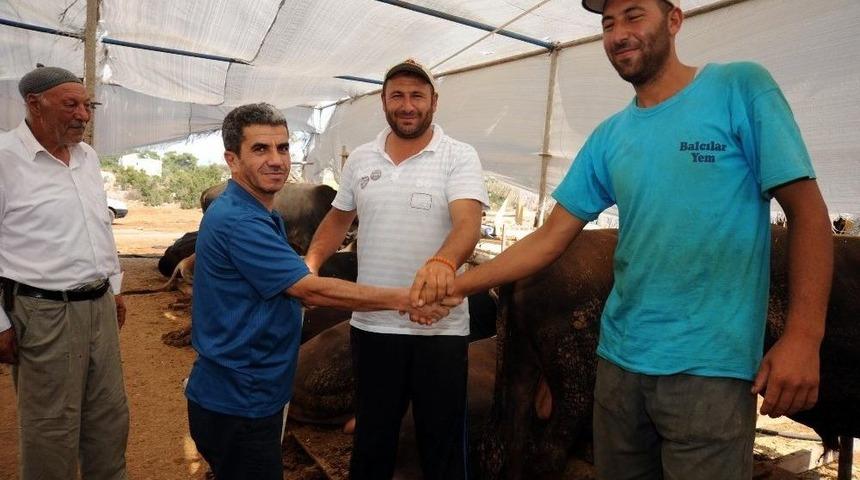 Kepez Belediyesi&rsquo;nden Kurban Satış Alanına Modern Hizmet