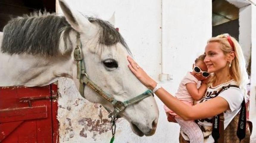 D&ouml;rt Nala Eğlence