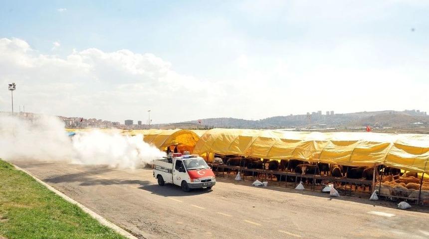 Ke&ccedil;i&ouml;ren&rsquo;de Kurban &Ccedil;adırları Tertemiz, Hijyenik